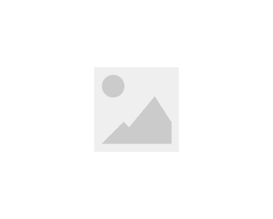 FMX 係列 FMX-12